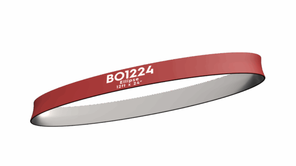 12' Blimp Ellipse - Image 5
